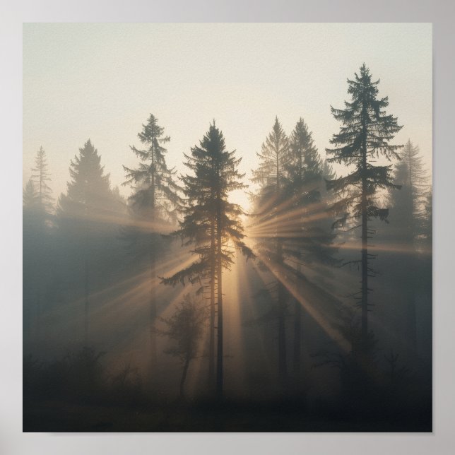 Misty Forest Morning Landscape Poster (Framsidan)