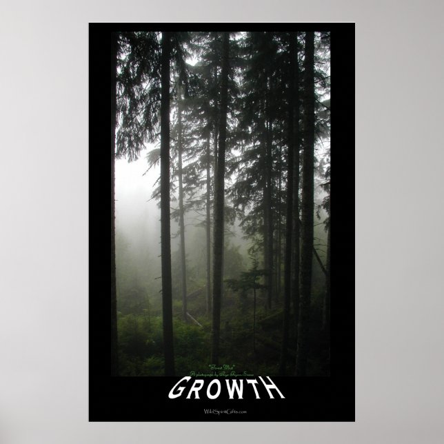 Misty Forest Motivational Photo Print Poster (Framsidan)