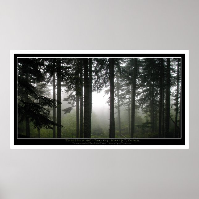 Misty Forest Mystical Photo Poster (Framsidan)