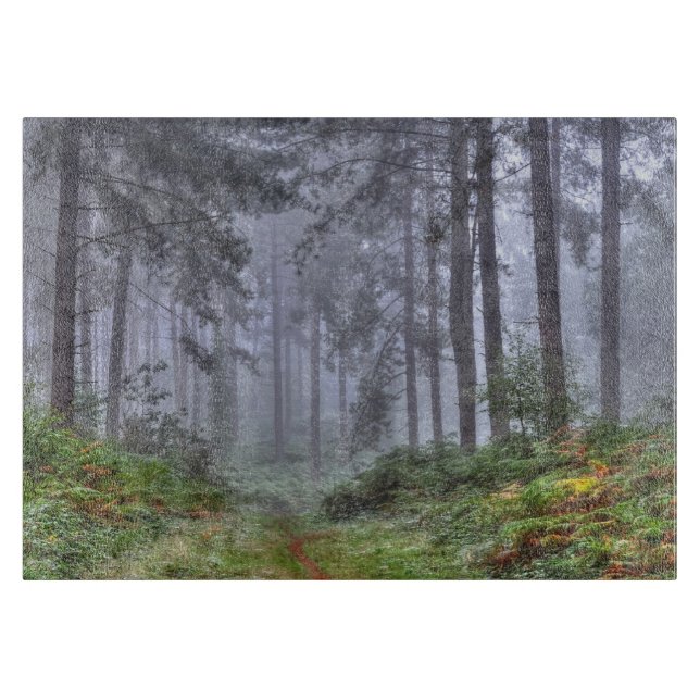 Misty Forest on Ashley Heath, Hampshire, England (Framsidan)