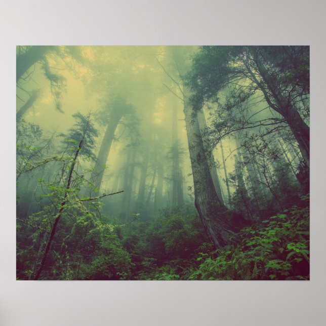 Misty Forest Poster (Framsidan)