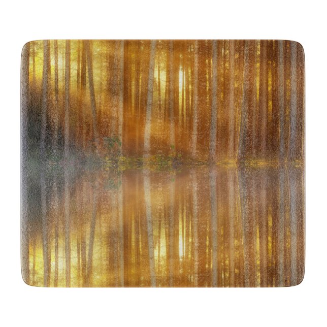 Misty Forest Scene (Framsidan)