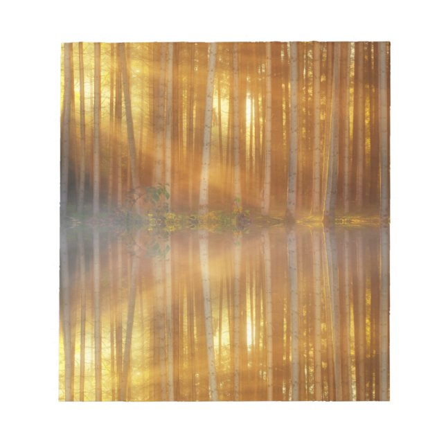 Misty Forest Scene Anteckningsblock (Framsida)