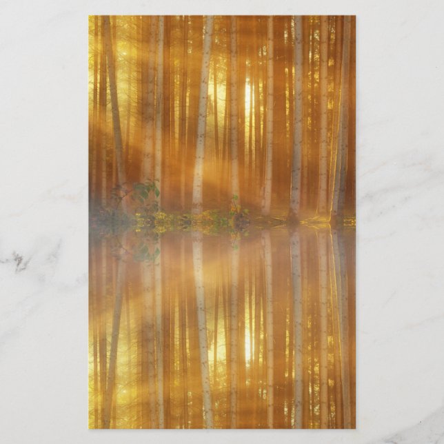 Misty Forest Scene Brevpapper (Framsida)