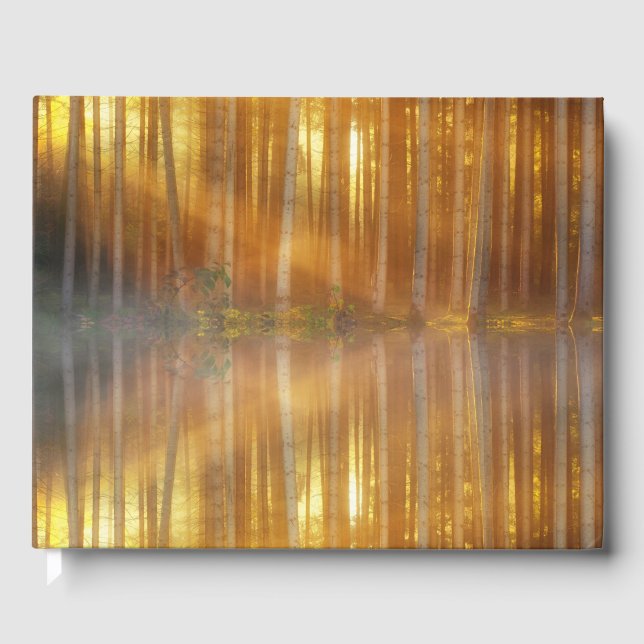 Misty Forest Scene Gästböcker (Framsida)