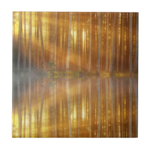 Misty Forest Scene Kakelplatta