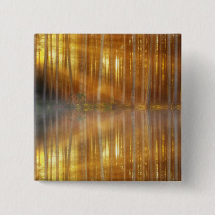Misty Forest Scene Knapp