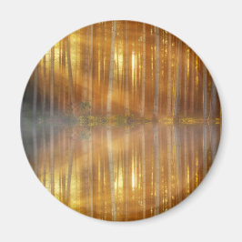 Misty Forest Scene Magnet