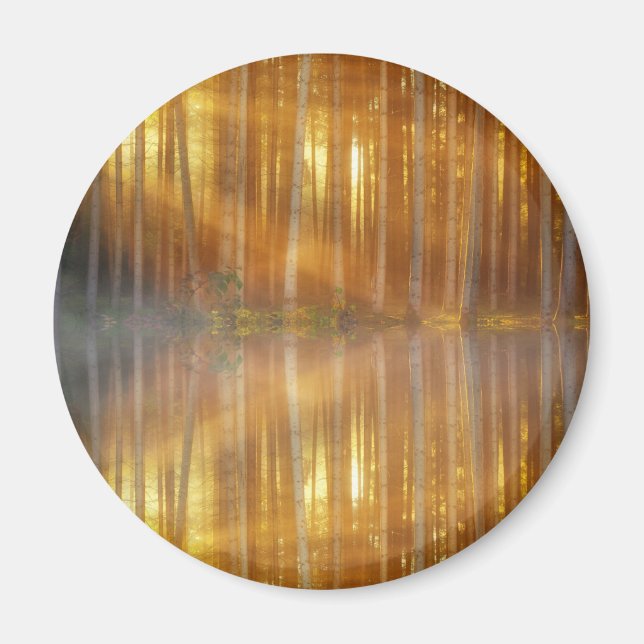 Misty Forest Scene Magnet (Framsidan)