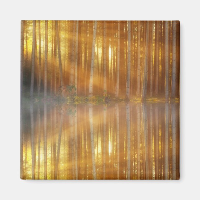 Misty Forest Scene Magnet (Framsidan)