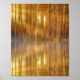 Misty Forest Scene Poster