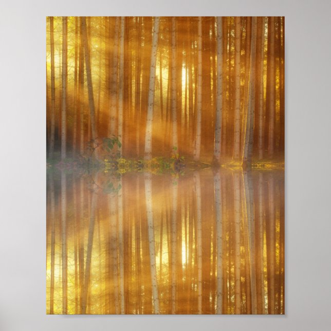 Misty Forest Scene Poster (Framsidan)