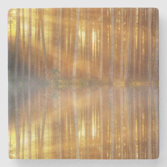 Misty Forest Scene Stenunderlägg (Framsidan)