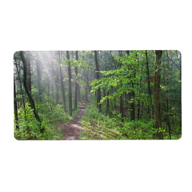 Misty Forest Trail vid Castle Mound Fraktsedel (Framsidan)