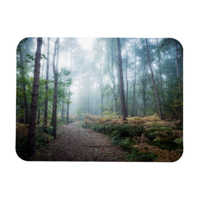 Misty Forest Walk Magnet (Horisontell)