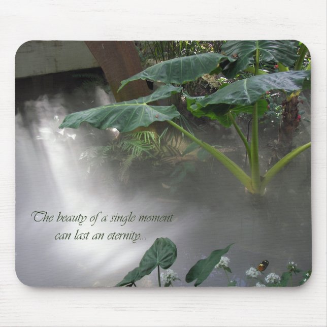 Misty Garden Musmatta (Framsidan)