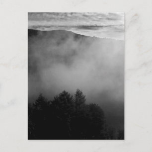 Misty Gräs Vykort