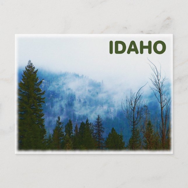 Misty Grått Vykort (Framsida)