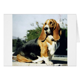 Misty Hälsningskort