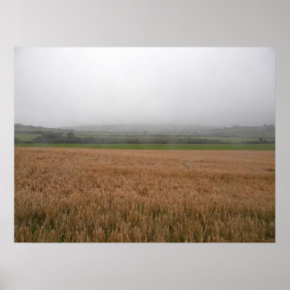 Misty Irish Meadow Print Poster