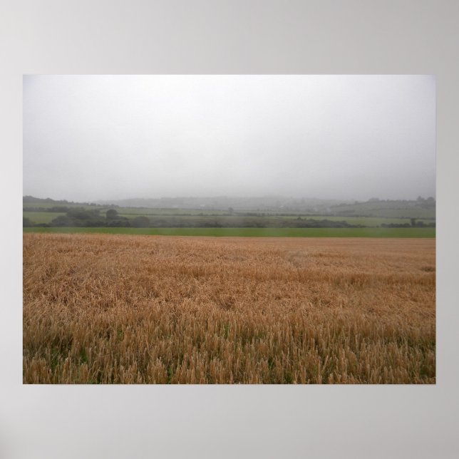 Misty Irish Meadow Print Poster (Framsidan)