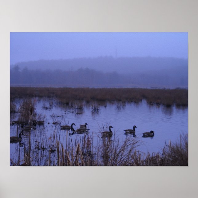 Misty Marsh Photograph Poster (Framsidan)