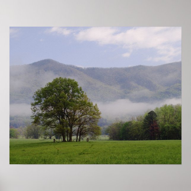 Misty meadow and Rik Mountain, Cades Cove Poster (Framsidan)