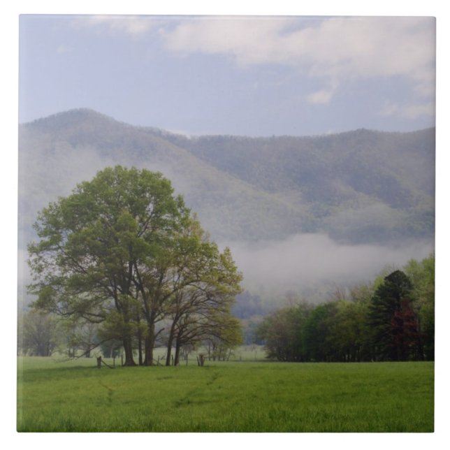 Misty meskugga och Rik Mountain, Cades Cove. Kakelplatta (Framsidan)