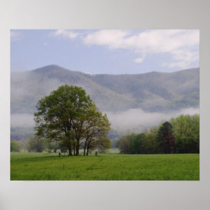 Misty meskugga och Rik Mountain, Cades Cove. Poster