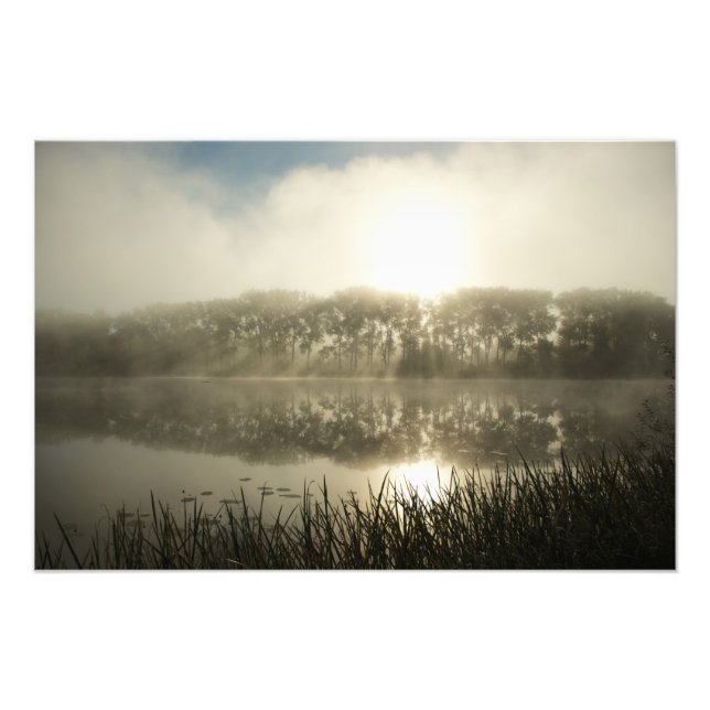 Misty Morgon - foto (Framsidan)