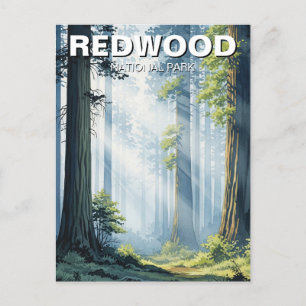 Misty Morgon i nationalparken Redwood Vykort