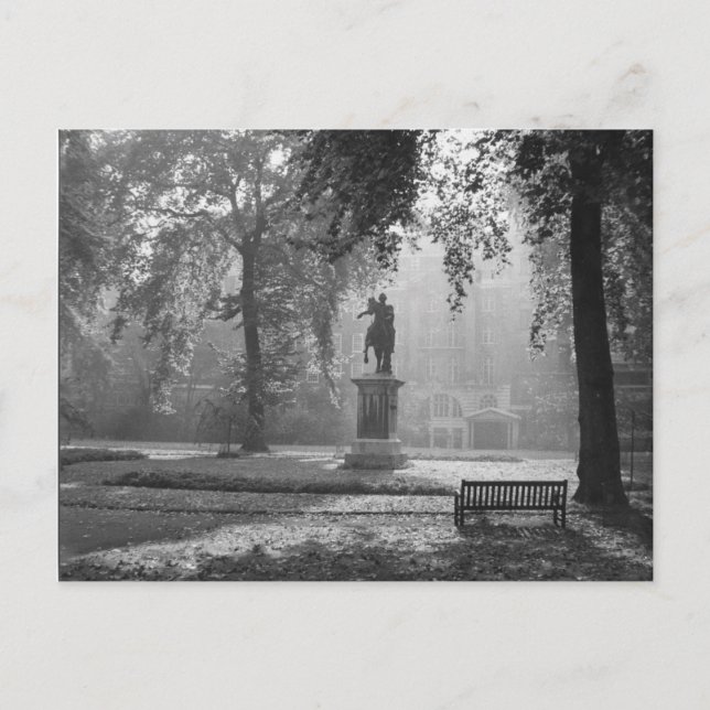 Misty Morgon på torget Vykort (Framsida)