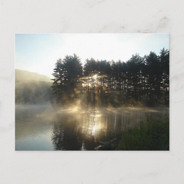 Misty Morgon Sunrise Allegheny State Park Vykort (Framsida)