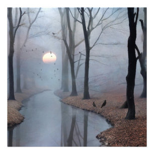 Misty Morgons fotoutvidgning Fototryck