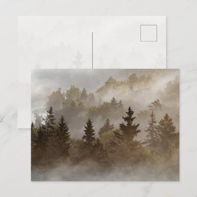 Misty morning at the valley vykort (Fram/baksida)