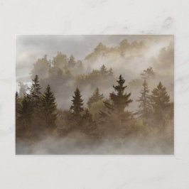 Misty morning at the valley vykort