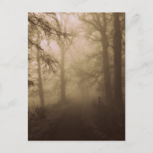 Misty morse Walk i Skogen - Fotografi Vykort