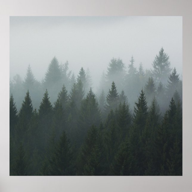 Misty Mountain Forest Autumn Fog Poster (Framsidan)