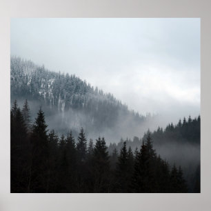 Misty Mountain Forest: Scenia Ligcape View Poster