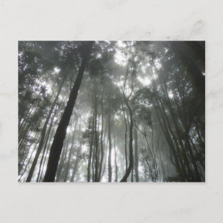 Misty Mounts vycard Vykort