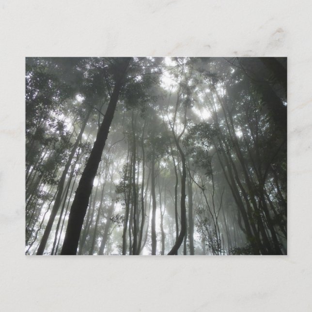 Misty Mounts vycard Vykort (Framsida)