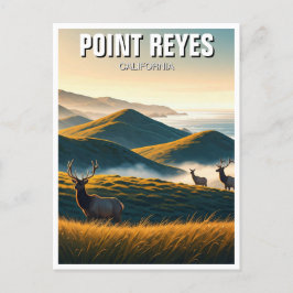 Misty Point Reyes National Seashore Elk Vykort
