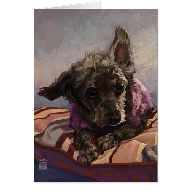 Misty Pudel OBS Kort (Framsidan)