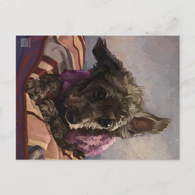 Misty Pudel Vykort (Framsida)