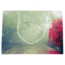 Misty Railroad Tracks Scenia Photo