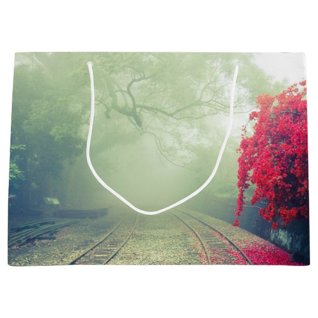 Misty Railroad Tracks Scenia Photo (Framsidan)