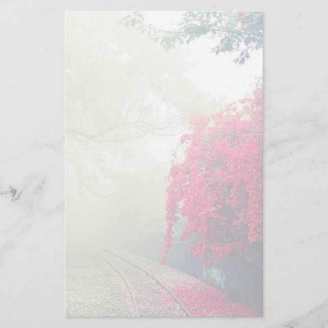 Misty Railroad Tracks Scenia Photo Brevpapper (Framsida)