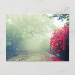 Misty Railroad Tracks Scenia Photo Helg Vykort