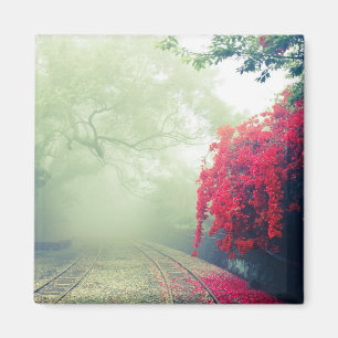 Misty Railroad Tracks Scenia Photo Magnet