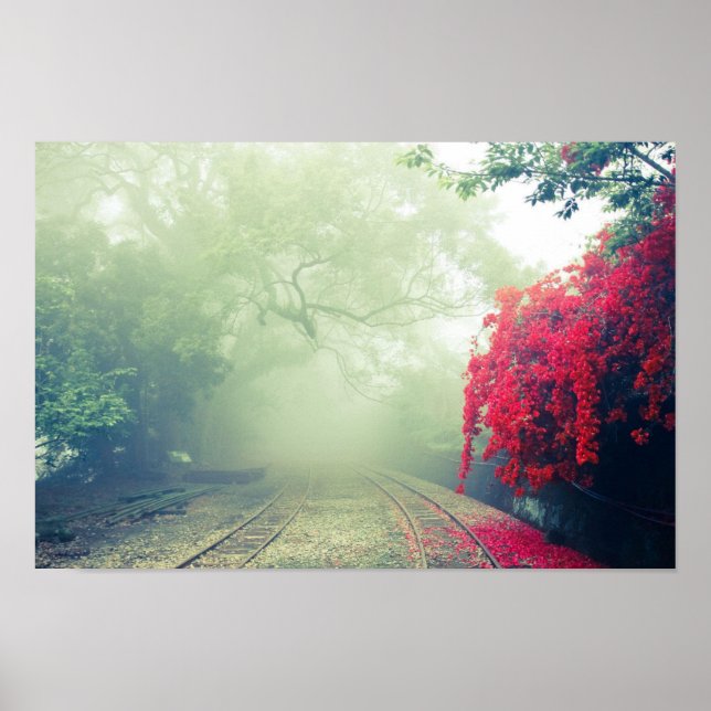 Misty Railroad Tracks Scenia Photo Poster (Framsidan)